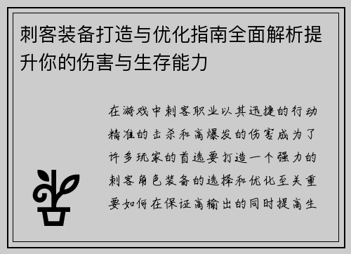 刺客装备打造与优化指南全面解析提升你的伤害与生存能力